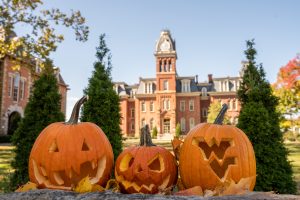 Experts suggest creative uses for pumpkins after Halloween